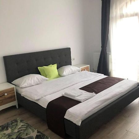 Holiday Luxury Villa With Private Garden Şelimbăr 外观 照片
