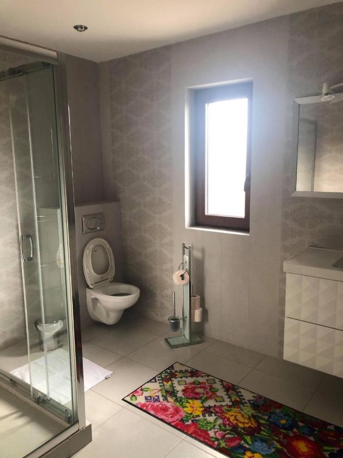 Holiday Luxury Villa With Private Garden Şelimbăr 外观 照片
