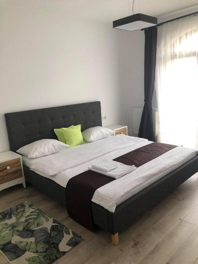 Holiday Luxury Villa With Private Garden Şelimbăr 外观 照片