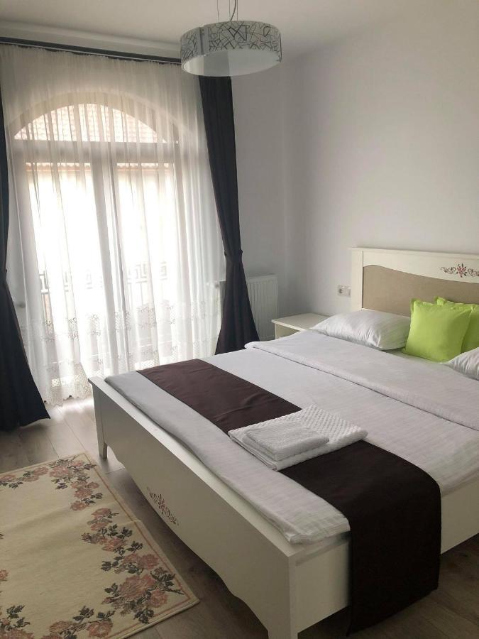 Holiday Luxury Villa With Private Garden Şelimbăr 外观 照片