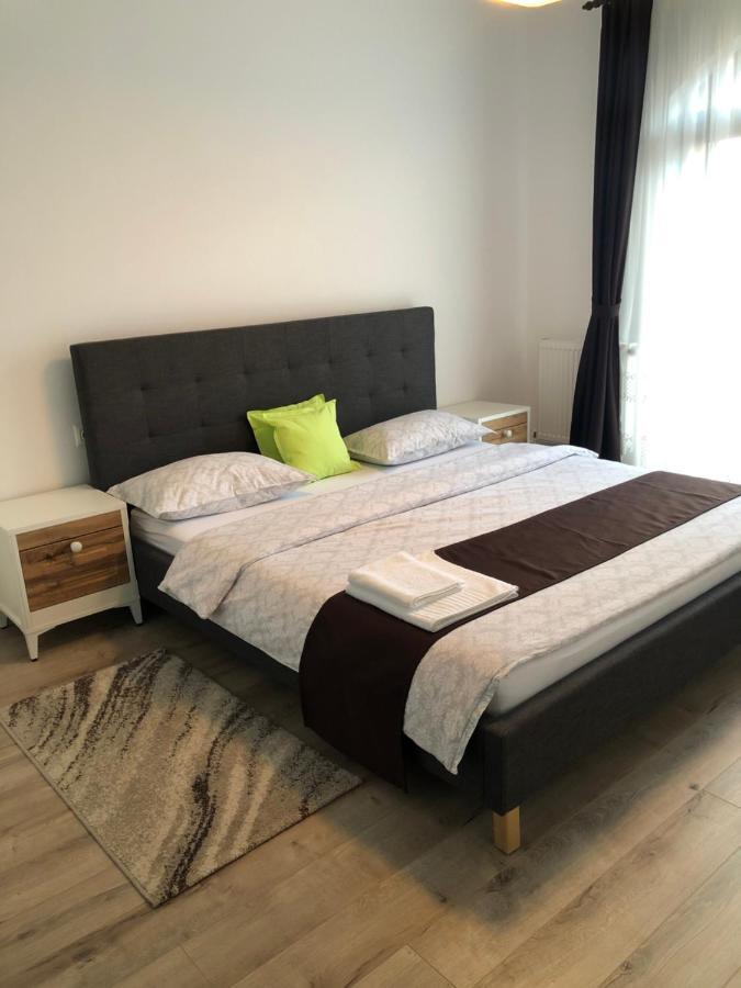 Holiday Luxury Villa With Private Garden Şelimbăr 外观 照片